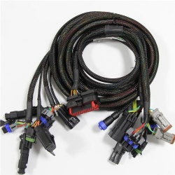 Delphi wire harness