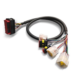 ecu harness